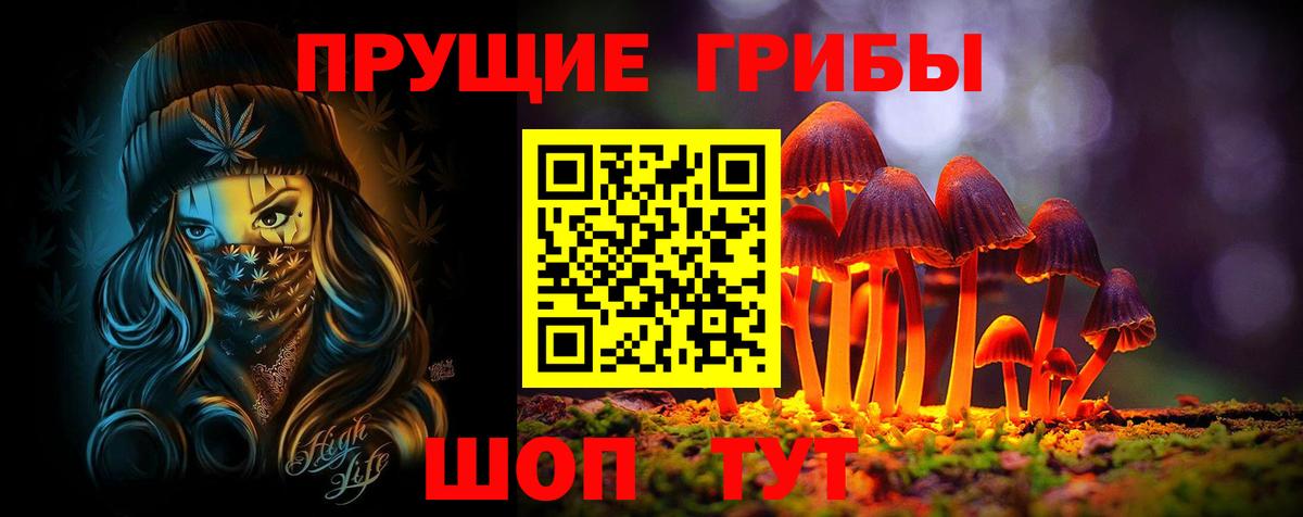 Псилоцибиновые грибы MAGIC MUSHROOMS  Галлюциногенные грибы GOLDEN TEACHER  Вход с VPN  Сергиев Посад 